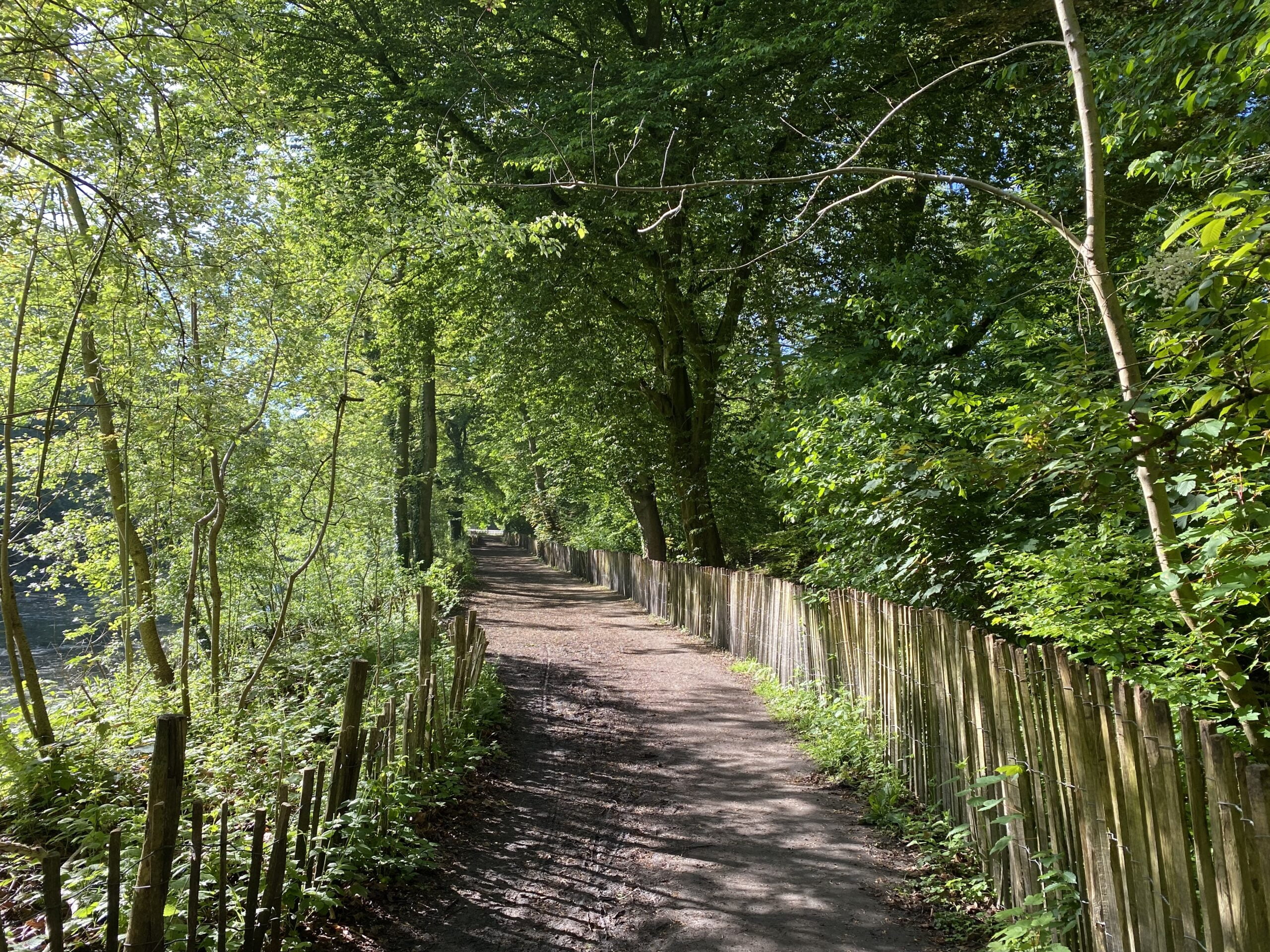 Séances sophrologie adultes stress Séances sophrologie adultes stress